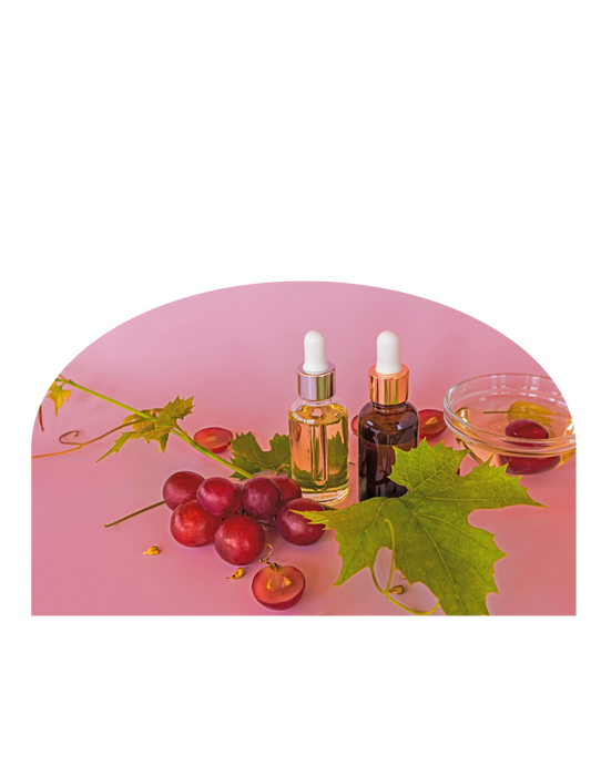 All Moist Hair Care